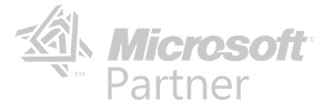 the microsoft partner logo